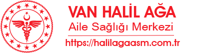 https://halilagaasm.com.tr/